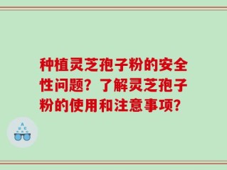 种植灵芝孢子粉的安全性问题？了解灵芝孢子粉的使用和注意事项？