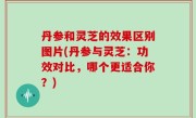 丹参和灵芝的效果区别图片(丹参与灵芝：功效对比，哪个更适合你？)