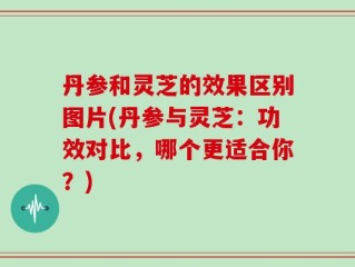 丹参和灵芝的效果区别图片(丹参与灵芝：功效对比，哪个更适合你？)