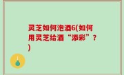 灵芝如何泡酒6(如何用灵芝给酒“添彩”？)