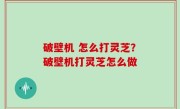 破壁机 怎么打灵芝？破壁机打灵芝怎么做