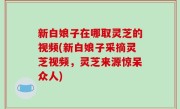 新白娘子在哪取灵芝的视频(新白娘子采摘灵芝视频，灵芝来源惊呆众人)