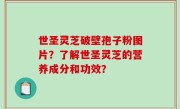 世圣灵芝破壁孢子粉图片？了解世圣灵芝的营养成分和功效？