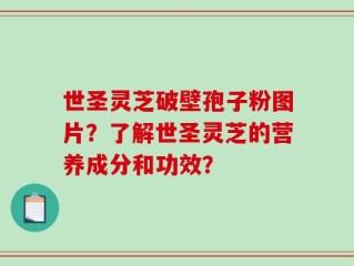 世圣灵芝破壁孢子粉图片？了解世圣灵芝的营养成分和功效？