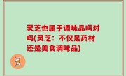 灵芝也属于调味品吗对吗(灵芝：不仅是药材还是美食调味品)