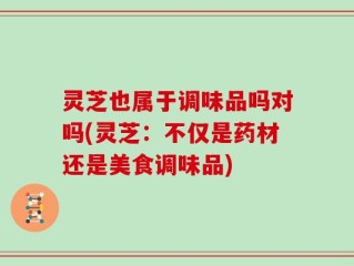 灵芝也属于调味品吗对吗(灵芝：不仅是药材还是美食调味品)