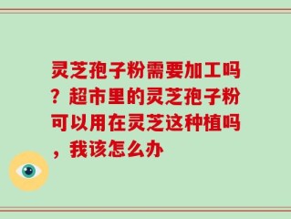灵芝孢子粉需要加工吗？超市里的灵芝孢子粉可以用在灵芝这种植吗，我该怎么办