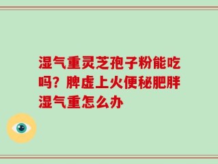 湿气重灵芝孢子粉能吃吗？脾虚上火便秘肥胖湿气重怎么办