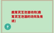 鹿茸灵芝泡酒功效(鹿茸灵芝泡酒的功效及用途)
