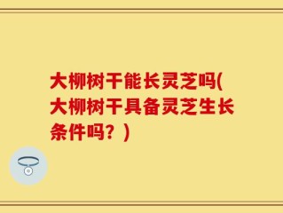 大柳树干能长灵芝吗(大柳树干具备灵芝生长条件吗？)