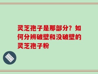 灵芝孢子是那部分？如何分辨破壁和没破壁的灵芝孢子粉