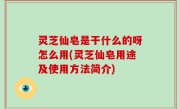灵芝仙皂是干什么的呀怎么用(灵芝仙皂用途及使用方法简介)