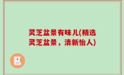 灵芝盆景有味儿(精选灵芝盆景，清新怡人)