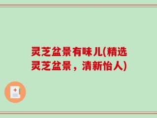 灵芝盆景有味儿(精选灵芝盆景，清新怡人)