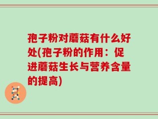 孢子粉对蘑菇有什么好处(孢子粉的作用：促进蘑菇生长与营养含量的提高)