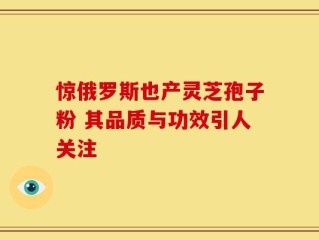 惊俄罗斯也产灵芝孢子粉 其品质与功效引人关注