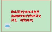 修水灵芝(修水林自然资源保护区内发现罕见灵芝，引发关注)