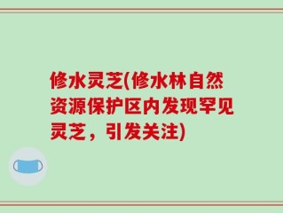 修水灵芝(修水林自然资源保护区内发现罕见灵芝，引发关注)