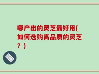 哪产出的灵芝最好用(如何选购高品质的灵芝？)