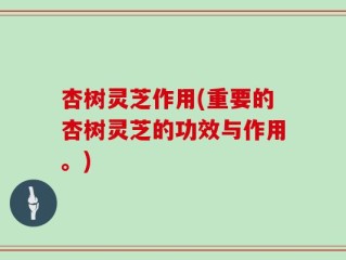 杏树灵芝作用(重要的杏树灵芝的功效与作用。)