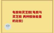 龟胶和灵芝胶(龟胶与灵芝胶 两种胶体能量的比较)