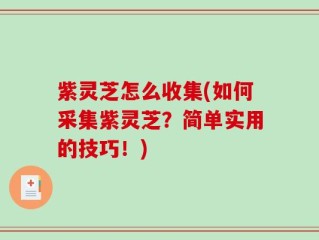 紫灵芝怎么收集(如何采集紫灵芝？简单实用的技巧！)