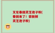 又见春回灵芝孢子粉(春回来了！尝新鲜  灵芝孢子粉)