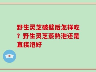 野生灵芝破壁后怎样吃？野生灵芝蒸熟泡还是直接泡好