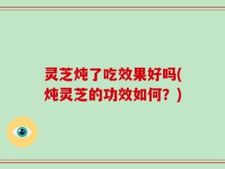 灵芝炖了吃效果好吗(炖灵芝的功效如何？)