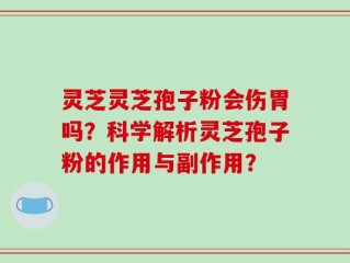 灵芝灵芝孢子粉会伤胃吗？科学解析灵芝孢子粉的作用与副作用？