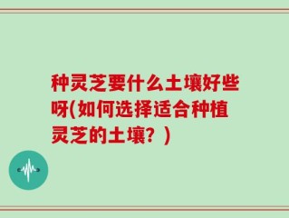 种灵芝要什么土壤好些呀(如何选择适合种植灵芝的土壤？)