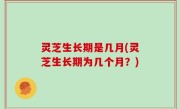 灵芝生长期是几月(灵芝生长期为几个月？)