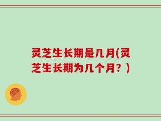 灵芝生长期是几月(灵芝生长期为几个月？)