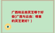广西和云南灵芝哪个好些(广西与云南：哪里的灵芝更好？)