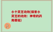 小个灵芝功效(探索小灵芝的功效：神奇的药用蘑菇)