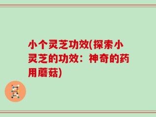 小个灵芝功效(探索小灵芝的功效：神奇的药用蘑菇)