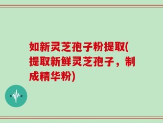 如新灵芝孢子粉提取(提取新鲜灵芝孢子，制成精华粉)