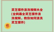 灵芝摆件清洗视频大全(全网最全灵芝摆件清洗视频，教你如何清洗灵芝摆件)