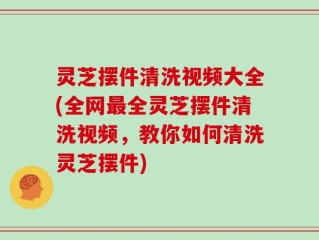 灵芝摆件清洗视频大全(全网最全灵芝摆件清洗视频，教你如何清洗灵芝摆件)