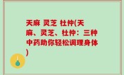天麻 灵芝 杜仲(天麻、灵芝、杜仲：三种中药助你轻松调理身体)