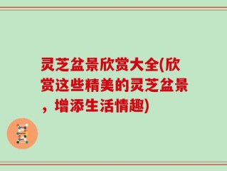 灵芝盆景欣赏大全(欣赏这些精美的灵芝盆景，增添生活情趣)