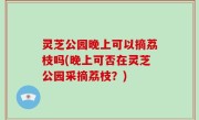 灵芝公园晚上可以摘荔枝吗(晚上可否在灵芝公园采摘荔枝？)