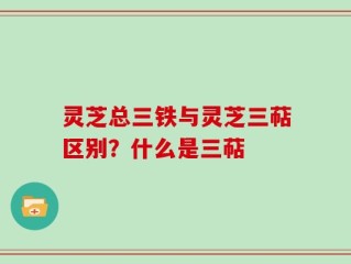 灵芝总三铁与灵芝三萜区别？什么是三萜