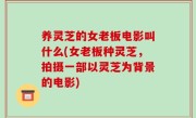 养灵芝的女老板电影叫什么(女老板种灵芝，拍摄一部以灵芝为背景的电影)