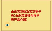 山东灵芝粉及灵芝孢子粉(山东灵芝粉和孢子粉产品介绍)