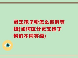 灵芝孢子粉怎么区别等级(如何区分灵芝孢子粉的不同等级)