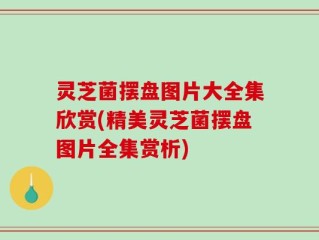 灵芝菌摆盘图片大全集欣赏(精美灵芝菌摆盘图片全集赏析)