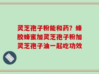 灵芝孢子粉能和药？蜂胶蜂蜜加灵芝孢子粉加灵芝孢子油一起吃功效
