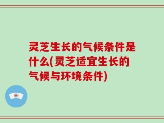 灵芝生长的气候条件是什么(灵芝适宜生长的气候与环境条件)