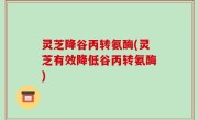 灵芝降谷丙转氨酶(灵芝有效降低谷丙转氨酶)